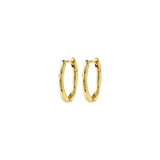 Now boucles d’oreilles anneaux recyclées - Or
