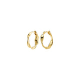 Here Boucles d'oreilles - Or