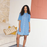 Ancey Dress