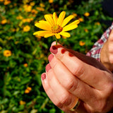 Vernis à ongles - su'l bord