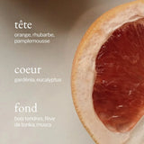 Bougie 4 oz - Eucalyptus + Pamplemousse