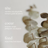 Savon à Mains Liquide - Eucalyptus, Menthe & Romarin